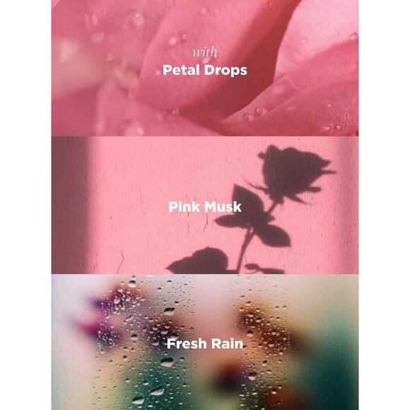 VICTORIAS SECRET Rose Bohemia Single Wick Luxury Candle NEW NIB - Picture 4 of 4